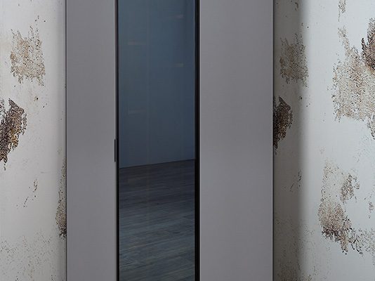 Corner Tek Kapılı Köşe Dolap ( Cam Kapak )