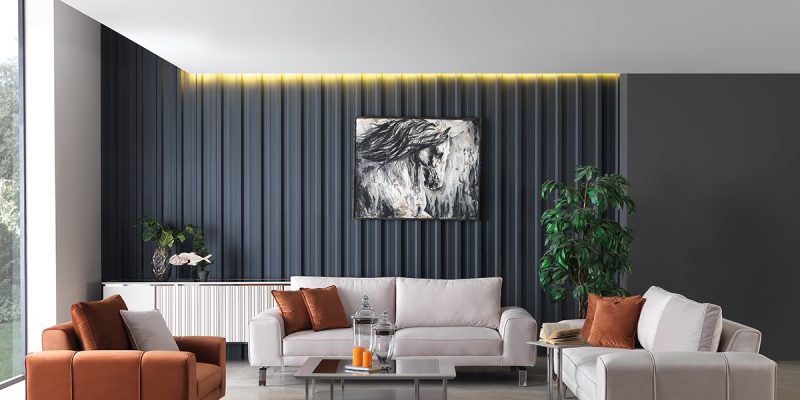 Silver Koltuk Takımı